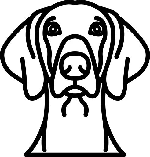 Vsepropejska Psí dekorace na zeď Plemeno: Výmarský ohař