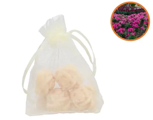 4ks jantarová vonná růžička v pytlíčku Amber Rose - 7*8 / 2,5*2,5 cm  daan kromhout