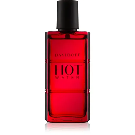 Davidoff Hot Water toaletní voda pro muže 60 ml