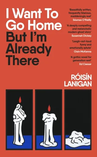 I Want To Go Home But I'm Already There - Roisin Lanigan
