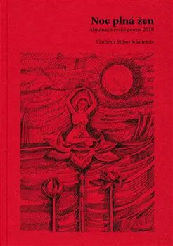 Noc plná žen - Vladimír Stibor