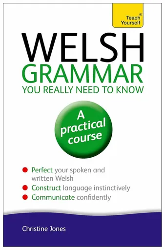 Welsh Grammar You Really Need to Know: Teach Yourself - Jones Christine