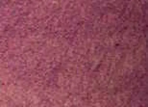 Akvarelová barva DS 15ml – 4032 Iridescent Ruby