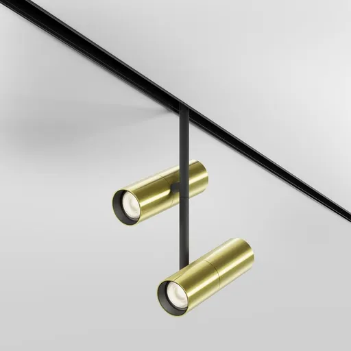 MAYTONI Svítidlo do kolejnice Elti Duo Exility 2700-6000K 24W 36d Dim Smart TR005-4-2X12W-DS-BBS