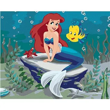 Malování podle čísel - Malá mořská víla (HRAmal00885nad)