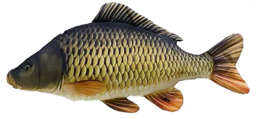 Gaby Polštář Kapr mini šupináč 36 cm,Gaby Polštář Kapr mini šupináč 36 cm