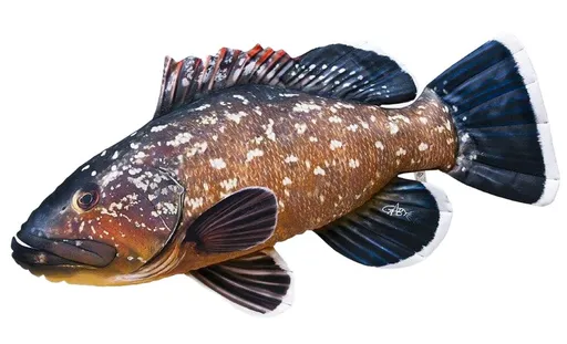 Gaby Polštář Kanic vroubený 100cm,Gaby Polštář Kanic vroubený 100cm