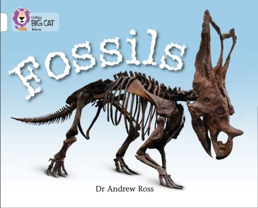 Fossils - Andrew Gross