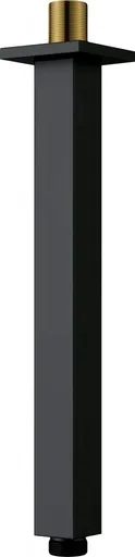 DEANTE Cascada černá Sprchové rameno, strop 250 mm NAC_N48K