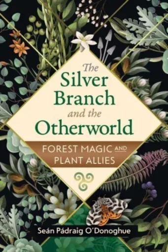 The Silver Branch and the Otherworld - Sean Padraig O'Donoghue