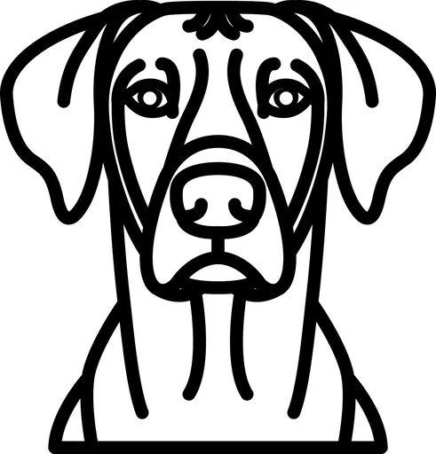 Vsepropejska Psí dekorace na zeď Plemeno: Ridgeback