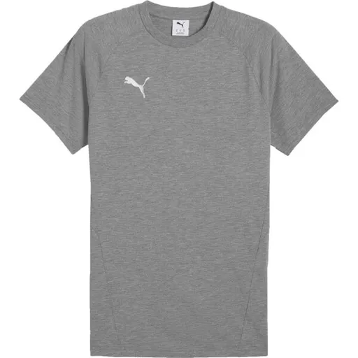 Puma TEAMEVOSTRIPE TEE Pánské triko, šedá, velikost