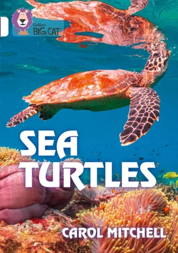 Sea Turtles - Carol Mitchell