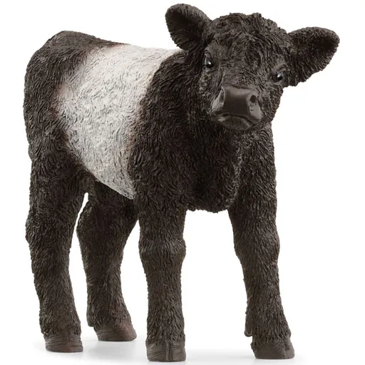 Schleich 13969 zvířátko gallowayské tele