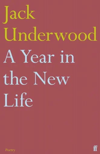 A Year in the New Life - Jack Underwood