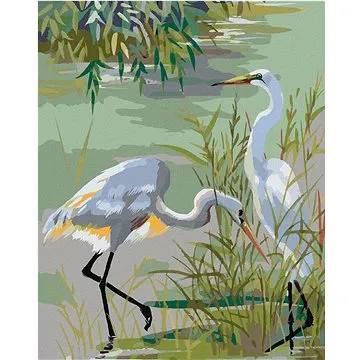 Zuty - Malování podle čísel - DVĚ VOLAVKY POPELAVÉ U JEZERA, 80x100 cm, vypnuté plátno na rám (HRAmmb06899nad)