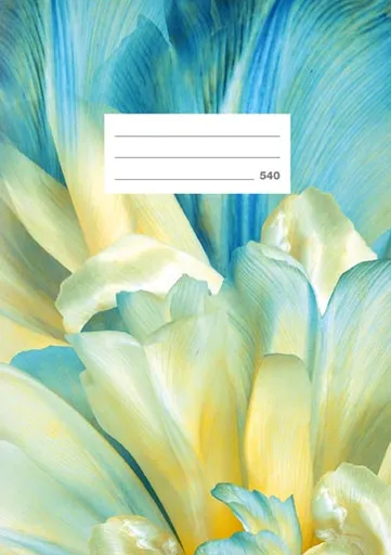 Školní sešit LUX A5 540