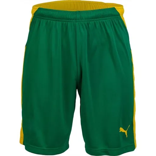 Puma KC LIGA SHORTS Pánské fotbalové kraťasy, zelená, velikost