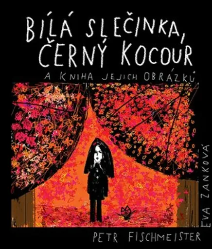 Bílá slečinka, černý kocour - Petr Fischmeister, Eva Zanková