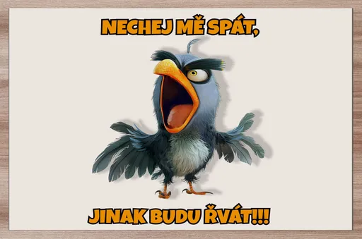 Prostírání Nech mě spát – papoušek