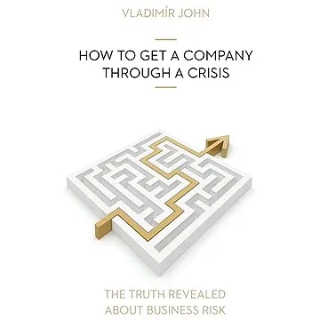 HOW TO GET A COMPANY THROUGH A CRISIS