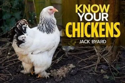 Know Your Chickens - Jack Byad
