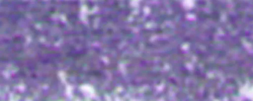 Suchý pastel Renesans – 69 Lapis