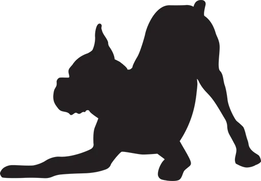 Vsepropejska Boxer 2 dřevěná dekorace na zeď Rozměr (cm): 26 x 38