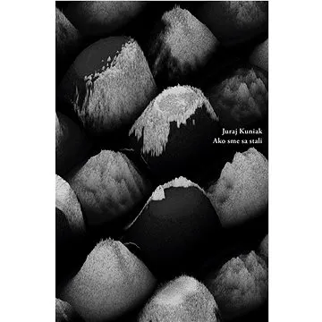 Ako sme sa stali (978-80-89816-44-6)