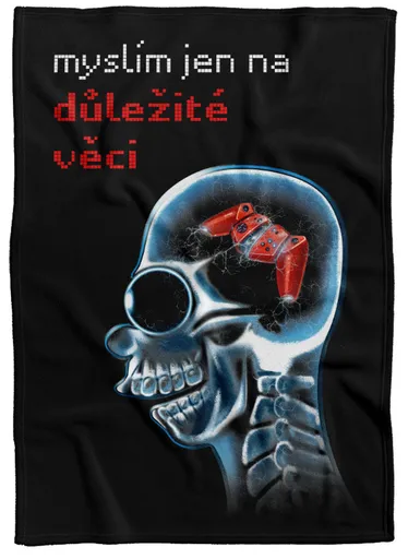 Deka Důležité věci - joystick (Podšití beránkem: NE)