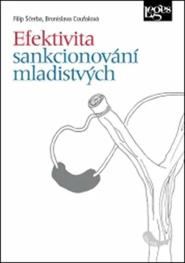 Efektivita sankcionování mladistvých - Filip Sčerba