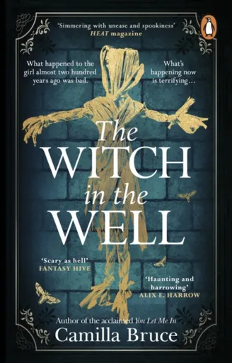 The Witch in the Well - Camilla Bruce