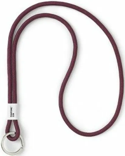 PANTONE Poutko na klíče L - Aubergine 229