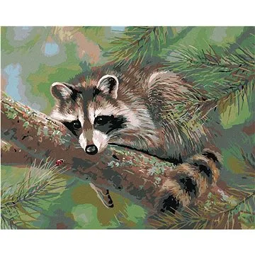 Zuty - Malování podle čísel - MÝVAL LEŽÍCÍ NA VĚTVI (ABRAHAM HUNTER), 80x100 cm, vypnuté plátno na r (HRAmmb06363nad)