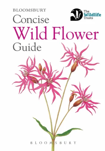 Concise Wild Flower Guide - Bloomsbury
