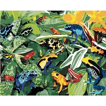 Malování podle čísel - Barevné žáby (Howard Robinson) (HRAbz33419nad)