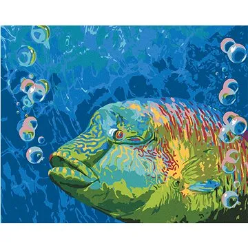 Diamondi - Diamantové malování - BAREVNÁ RYBA A BUBLINY (CAROL CAVALARIS), 40x50 cm, Vypnuté plátno  (607057B)