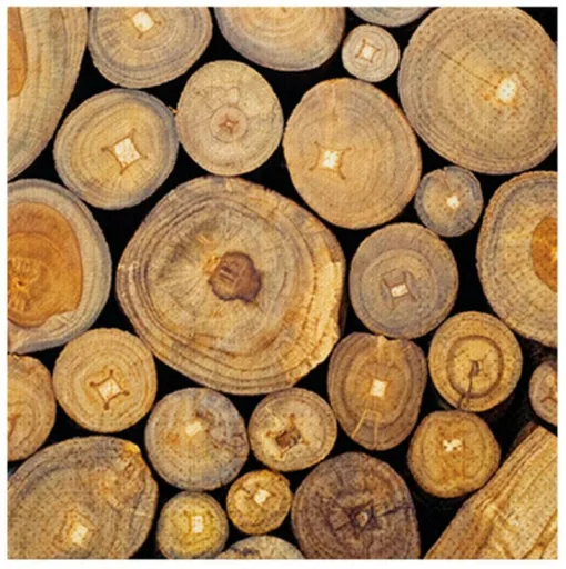 Ubrousek P 33x33 celorok SDL895000