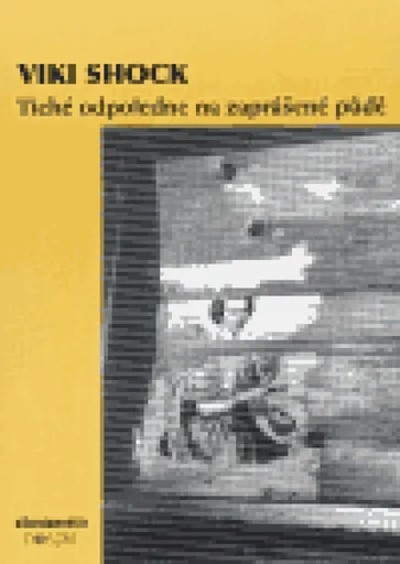 Tiché odpoledne na zaprášené půdě - Viki Shock