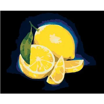 Zuty - Malování podle čísel - CITRÓN 4 (MYROSLAVA VOLOSCHUK), 80x100 cm, vypnuté plátno na rám (HRAmmb00403nad)