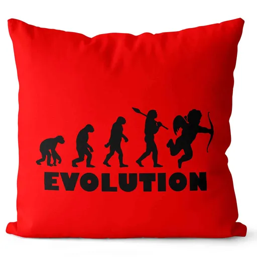 Polštářek Evolution láska (Velikost: 40 x 40 cm)