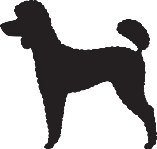 Vsepropejska Pudl 4 dřevěná dekorace na zeď Rozměr (cm): 36 x 38