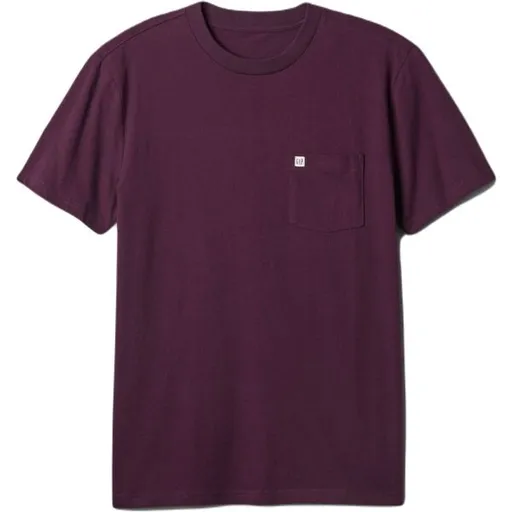 GAP INTL - F SS Pánské tričko, vínová, velikost