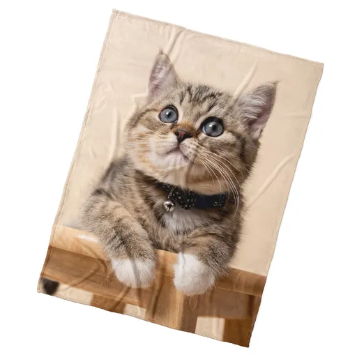 BedTex Dětská deka Koťátko Rolnička, 150 x 200 cm