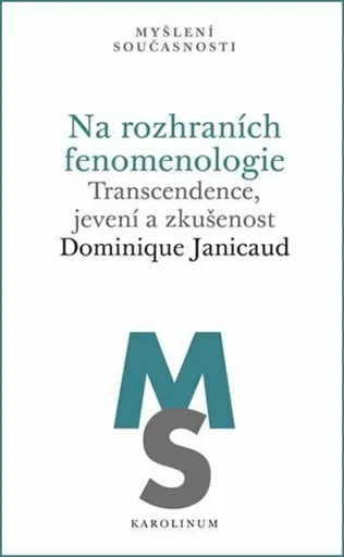 Na rozhraních fenomenologie - Dominique Janicaud