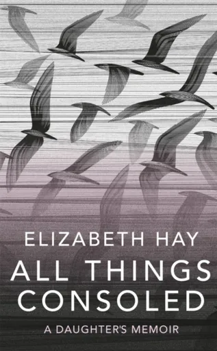 All Things Consoled - Elizabeth Hay