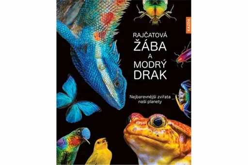 Rajčatová žába a modrý drak - Andrea Köhrsenová