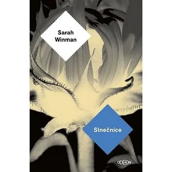 Slnečnice (978-80-551-7063-3)