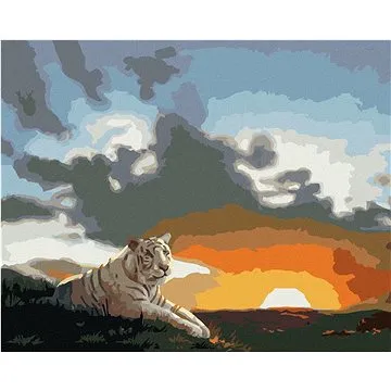 Zuty - Malování podle čísel - BÍLÝ TYGR A ZÁPAD SLUNCE (D. RUSTY RUST), 80x100 cm, vypnuté plátno na (HRAmmb01093nad)