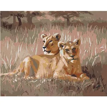 Zuty - Malování podle čísel - ODPOČÍVAJÍCÍ LEV (D. RUSTY RUST), 80x100 cm, vypnuté plátno na rám (HRAmmb02521nad)